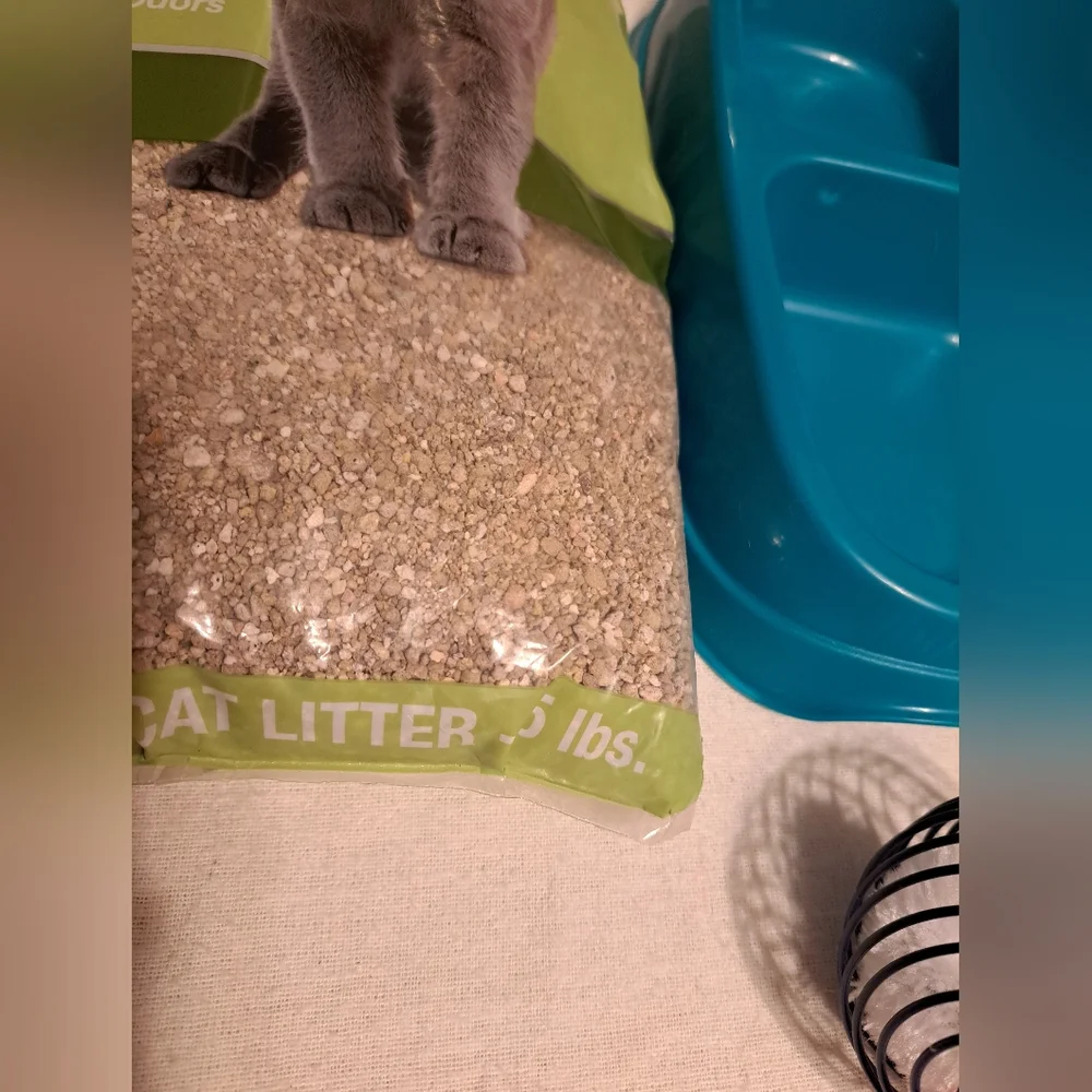 Cat Bundle Ball Little Bowl